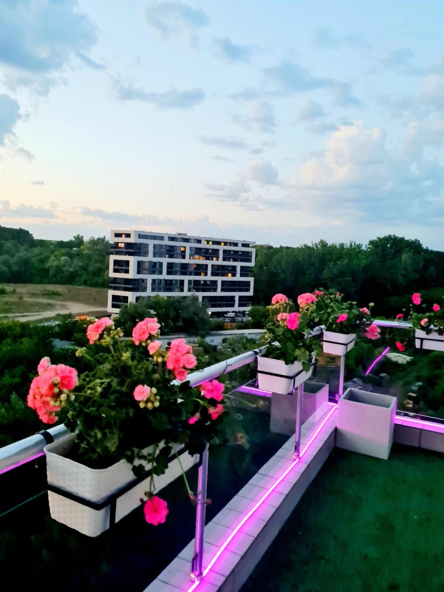 Penthouse View Aeroport Iasi 2 Lägenhet Exteriör bild
