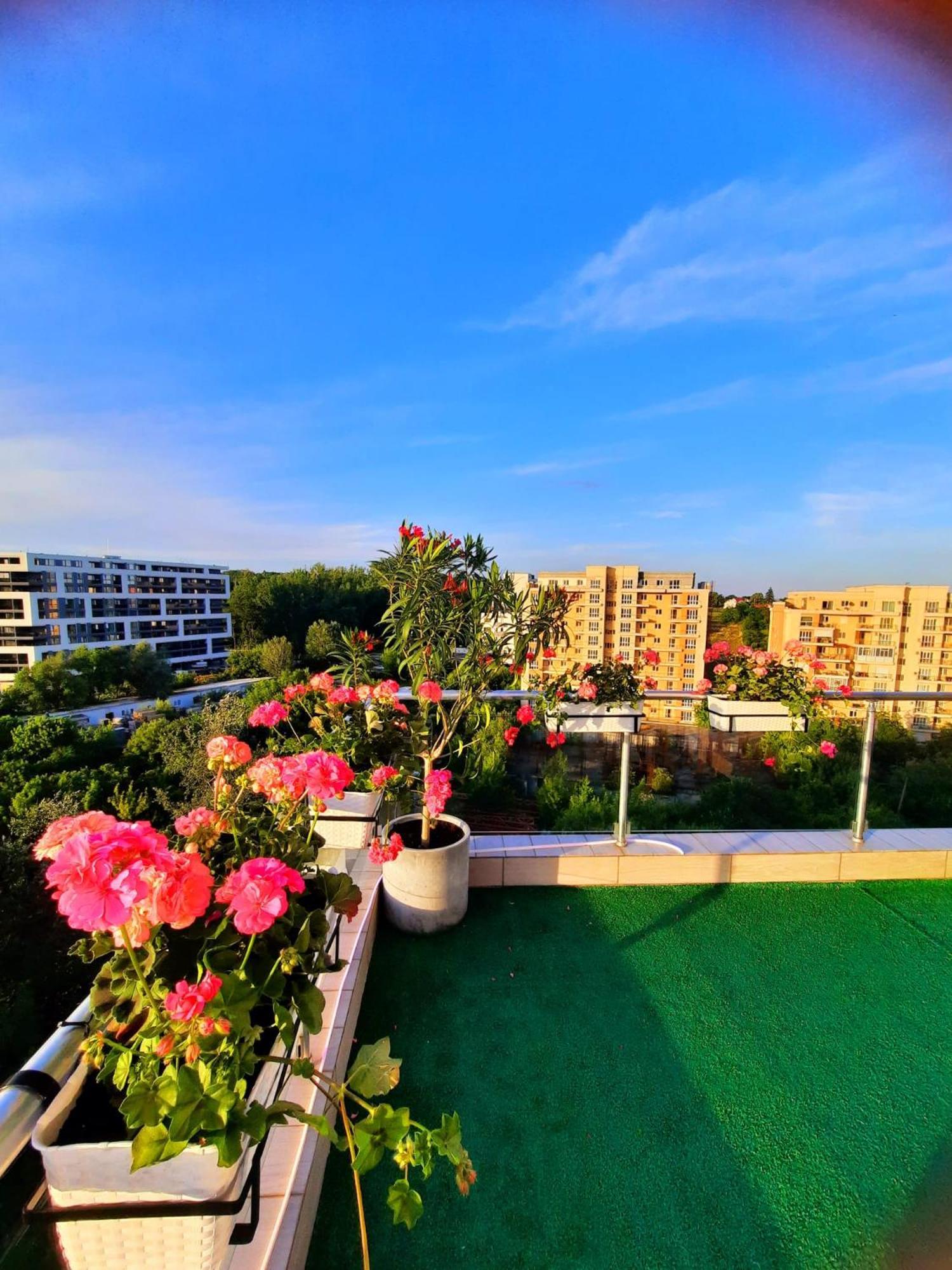 Penthouse View Aeroport Iasi 2 Lägenhet Exteriör bild